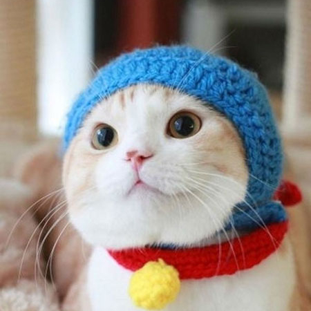 油条,鸡蛋布袋,糖果子,我全都要,宅在家一起霍霍面