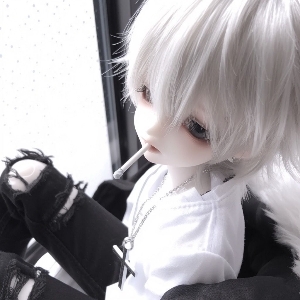 L1iiC