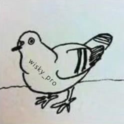 Wisky_pro