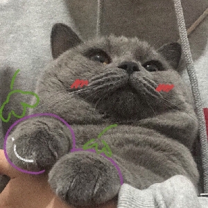 后仰跳投打膝盖