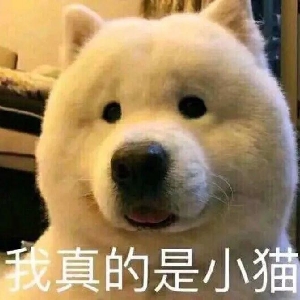 一枕忘忧梦