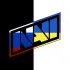 NAVI-CSGO logo