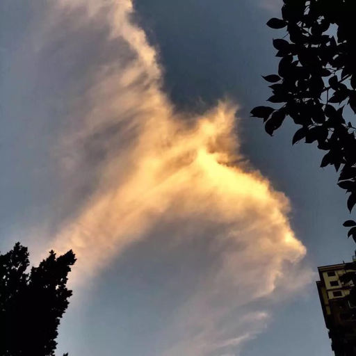 MX欲望之争
