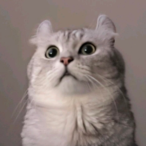 只喝无糖可乐Oo