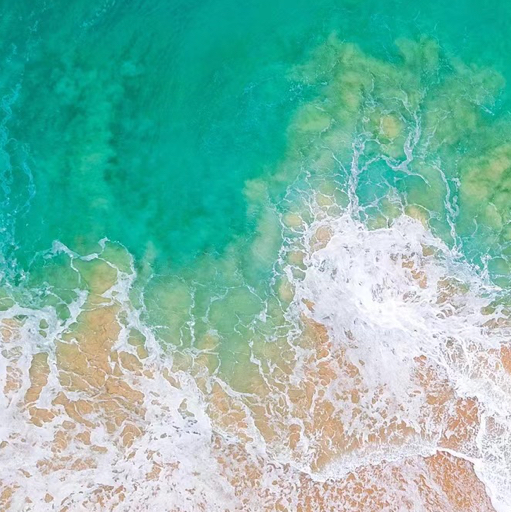 iOS12