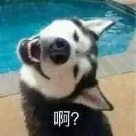 ⚠