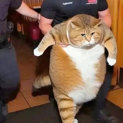 瘫得药思