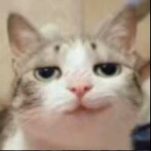 真诚以心交心
