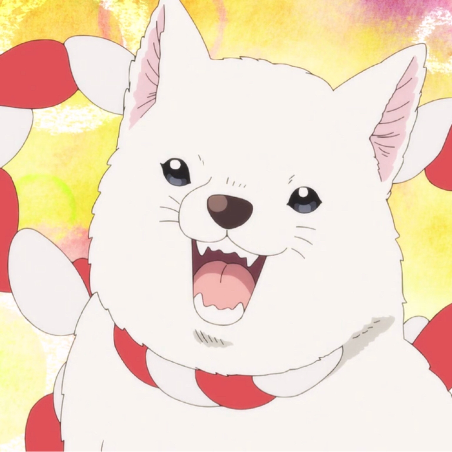 君暮晨大人最近很衰