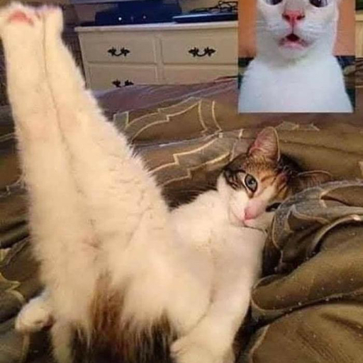 性感在power面前不值一提!