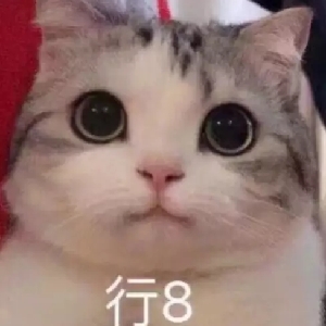 芦子贤