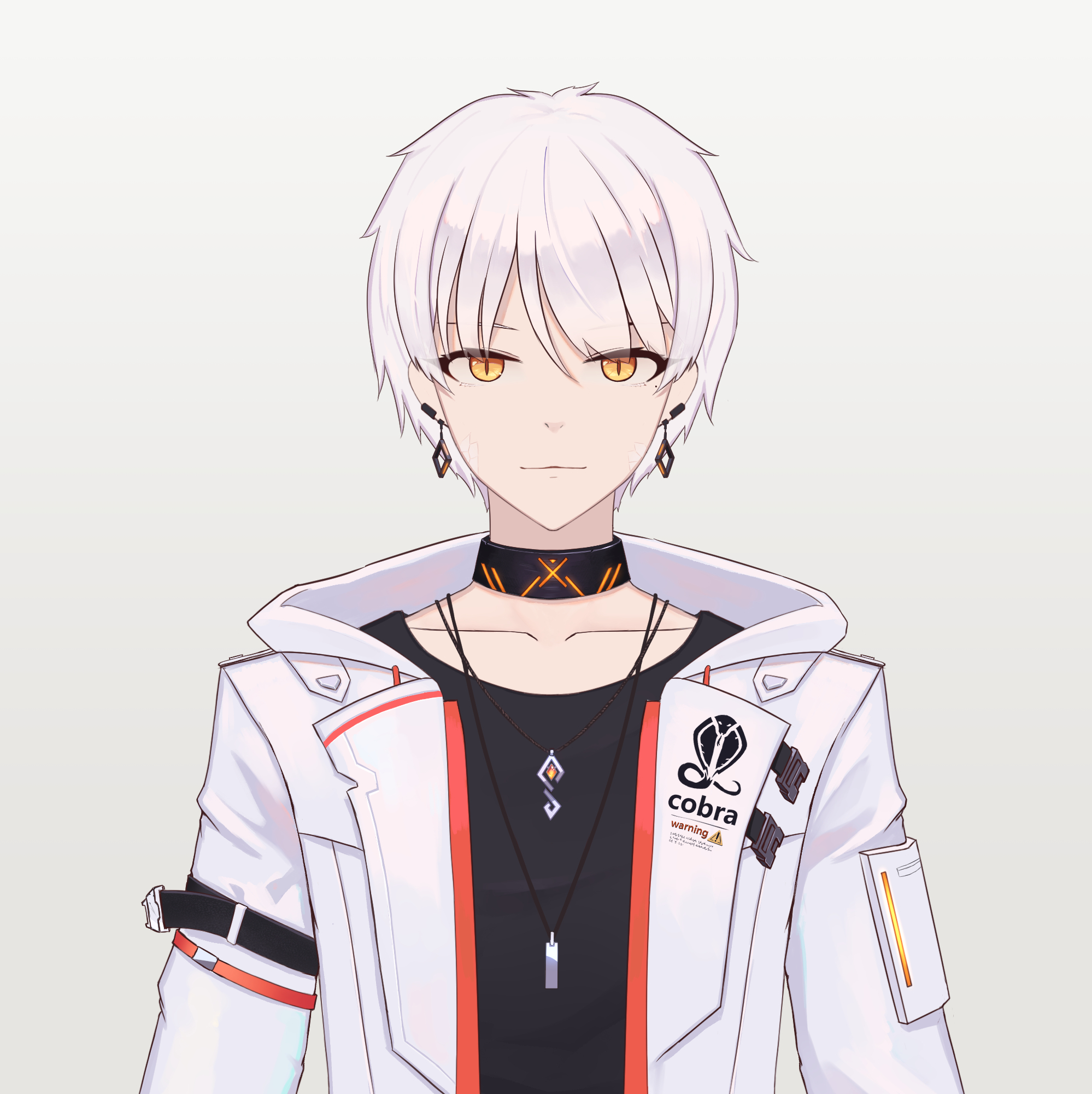 虚拟道具师炫银蛇