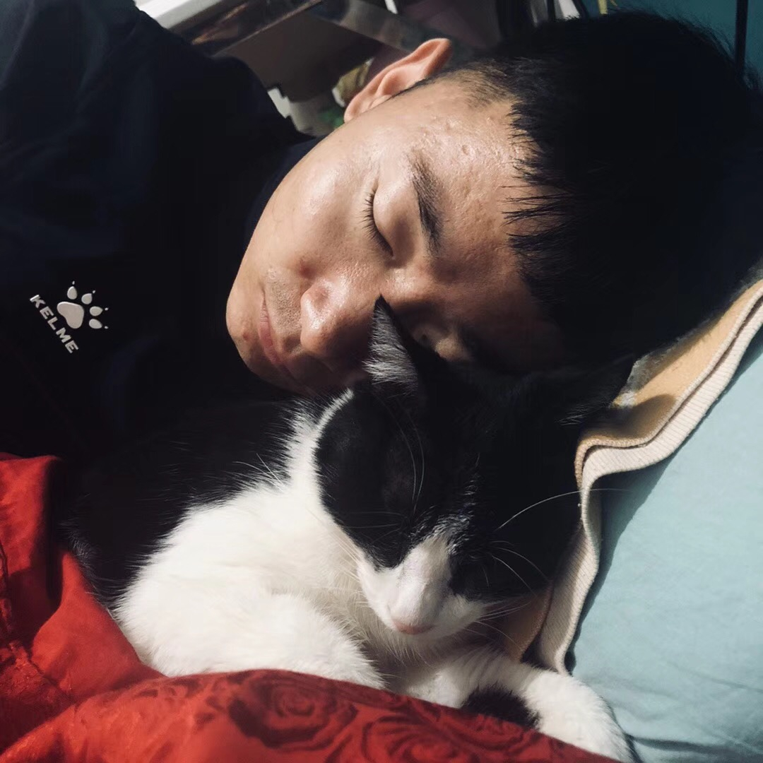 二碳碗团儿贰磊子