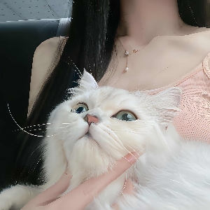 知之要摘月