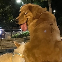 杰西不妙厨房s