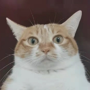 ⚠