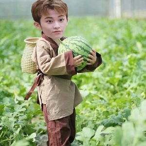 【钟辰乐】孔雀见了乐乐都要开屏