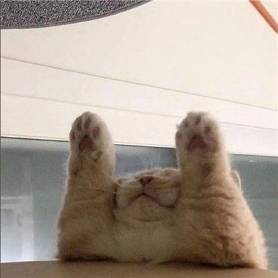⚠