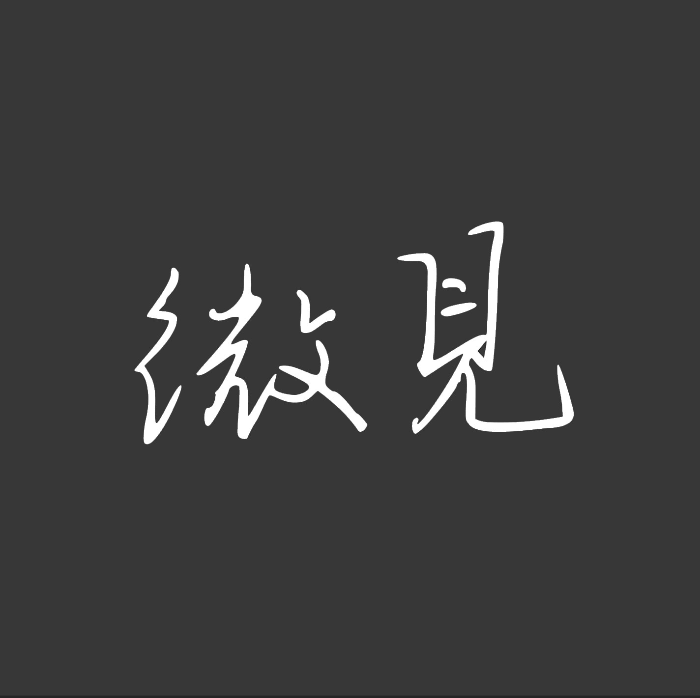 微见WeSee
