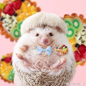 一群"疯婆子",随手一拍竟然.