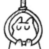 鱼喵传媒's avatar