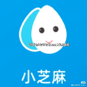 小芝麻科技