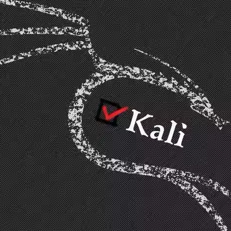 Kali与编程
