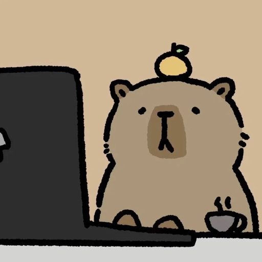 程序猿不想圆