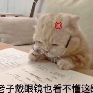 梧桐树下的Paul