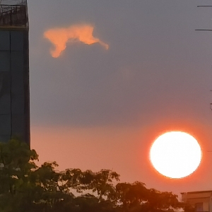 五线码农_