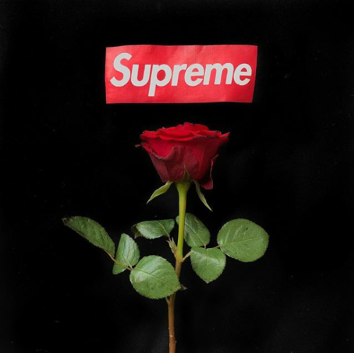 supremex荒木经惟araki联名水原希子担任模特拍摄现场视频泄露