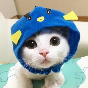 LD_Dragon