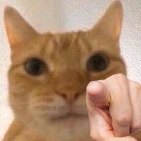 zhenzhenv