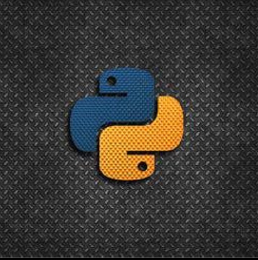 可以从哪里入手python编程怎么专业学习python