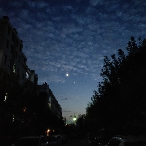 长老的木鱼子