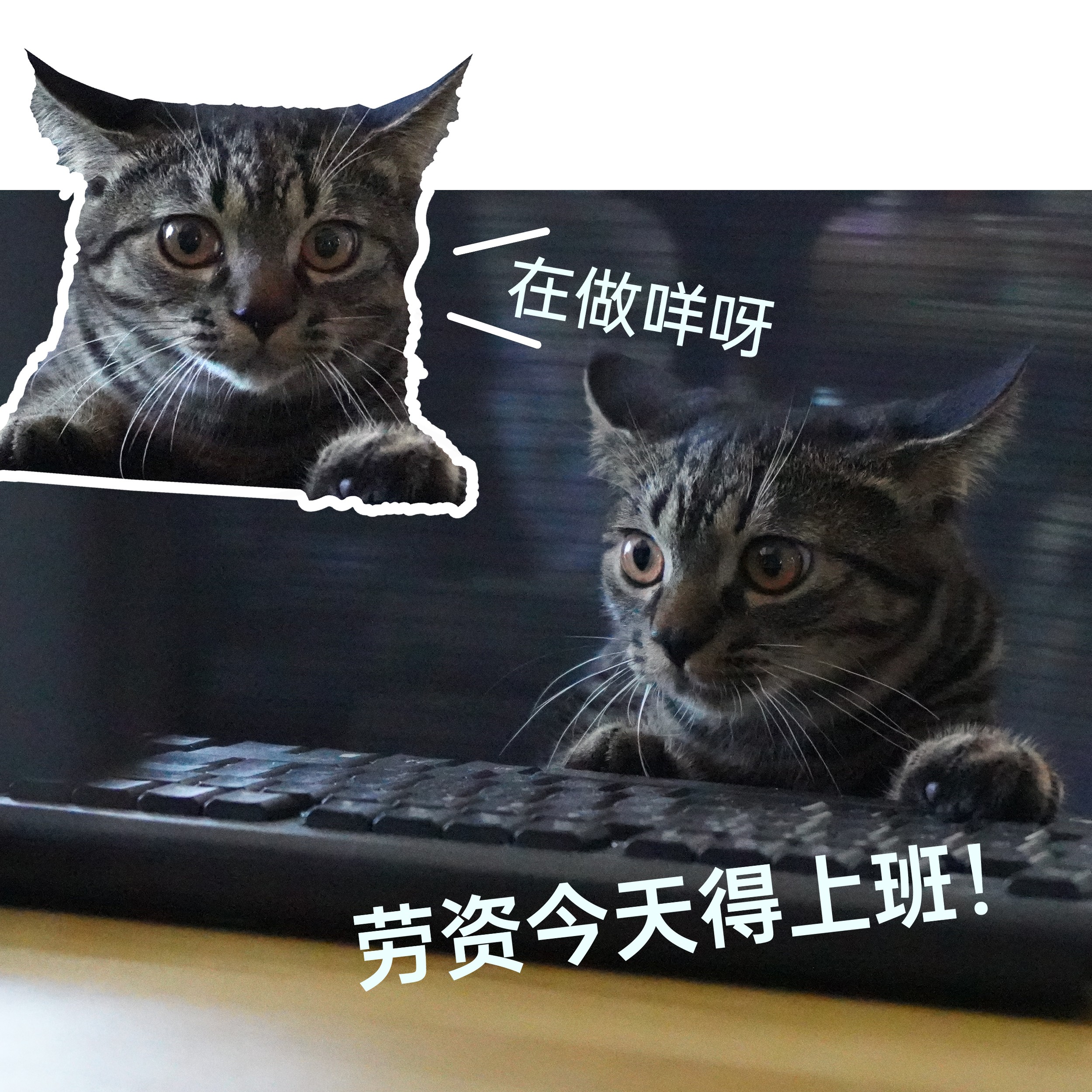 小厂茶水间
