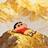 夏令麻麻's avatar