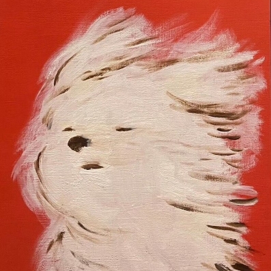 你是谁的阿波罗