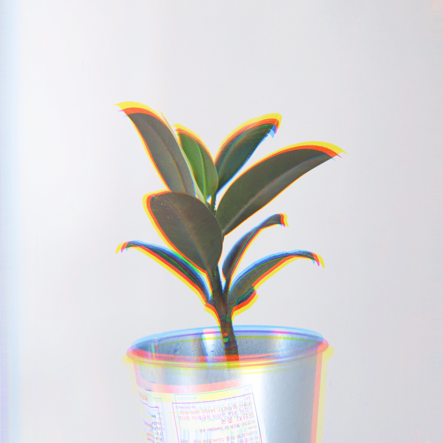 普鲁斯特问卷 | 记录自己成长的足迹