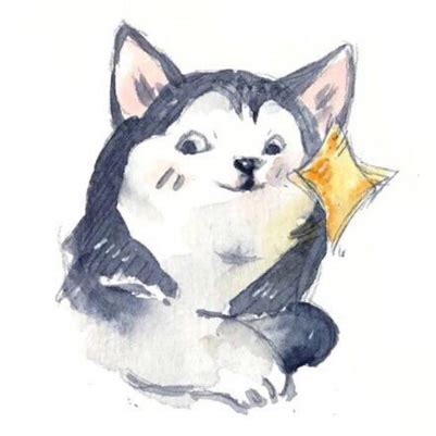 娱乐小d