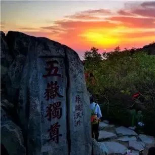 小泡泡的号