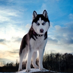 专科生\/自考生的考研之路,如何谋划?