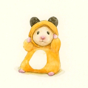 金丝熊-可爱小软妹