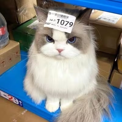 灵静养心