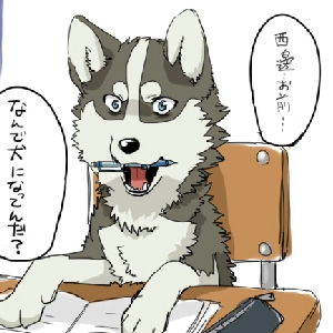 龙泉刀剑的网络风波以及对新手的话