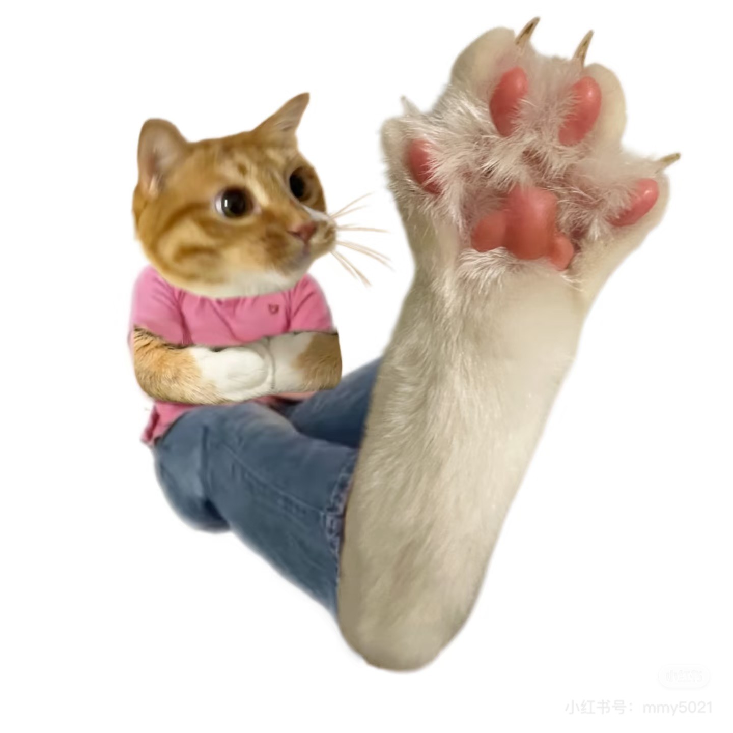特邀蛙蛙