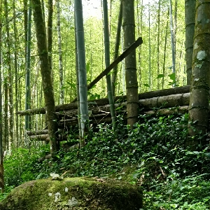 剪熟 突发乌贼联动里贴贴的山神莉莉和在胡闹的四人 山神歌流多 夕阳莉莉 黛灰 黑井柴 雪城真寻 不破凑 牛哔哩