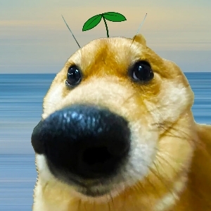 狗头龙暗区突围