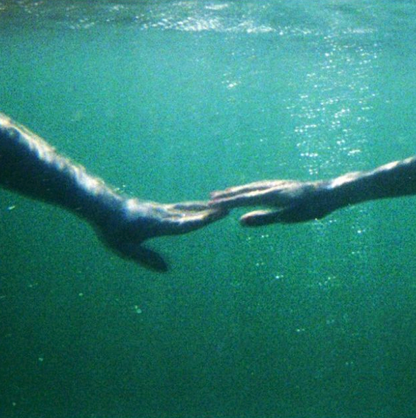 【知否同人 | 如墨四五】燕过重帘 2【盛如兰X