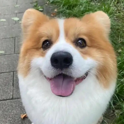 快乐修勾贩卖机